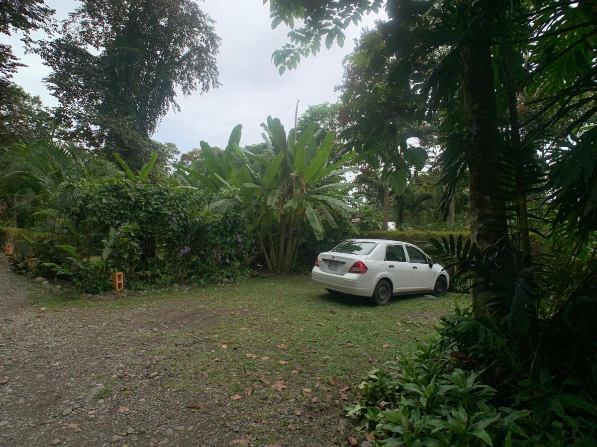 Luna Caribena Village Puerto Viejo de Talamanca Exterior foto