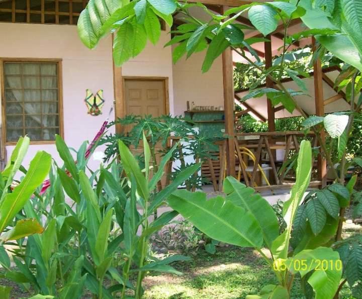 Luna Caribena Village Puerto Viejo de Talamanca Exterior foto