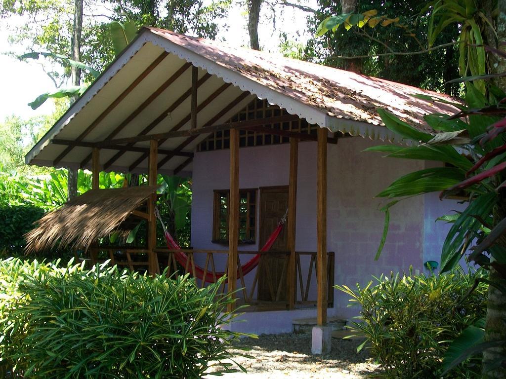 Luna Caribena Village Puerto Viejo de Talamanca Exterior foto