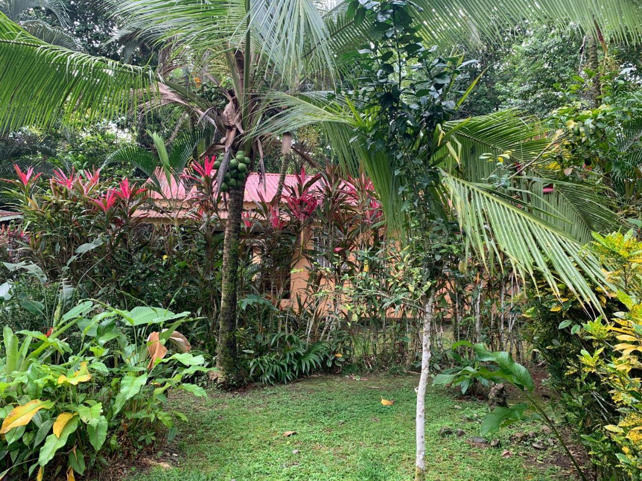 Luna Caribena Village Puerto Viejo de Talamanca Exterior foto