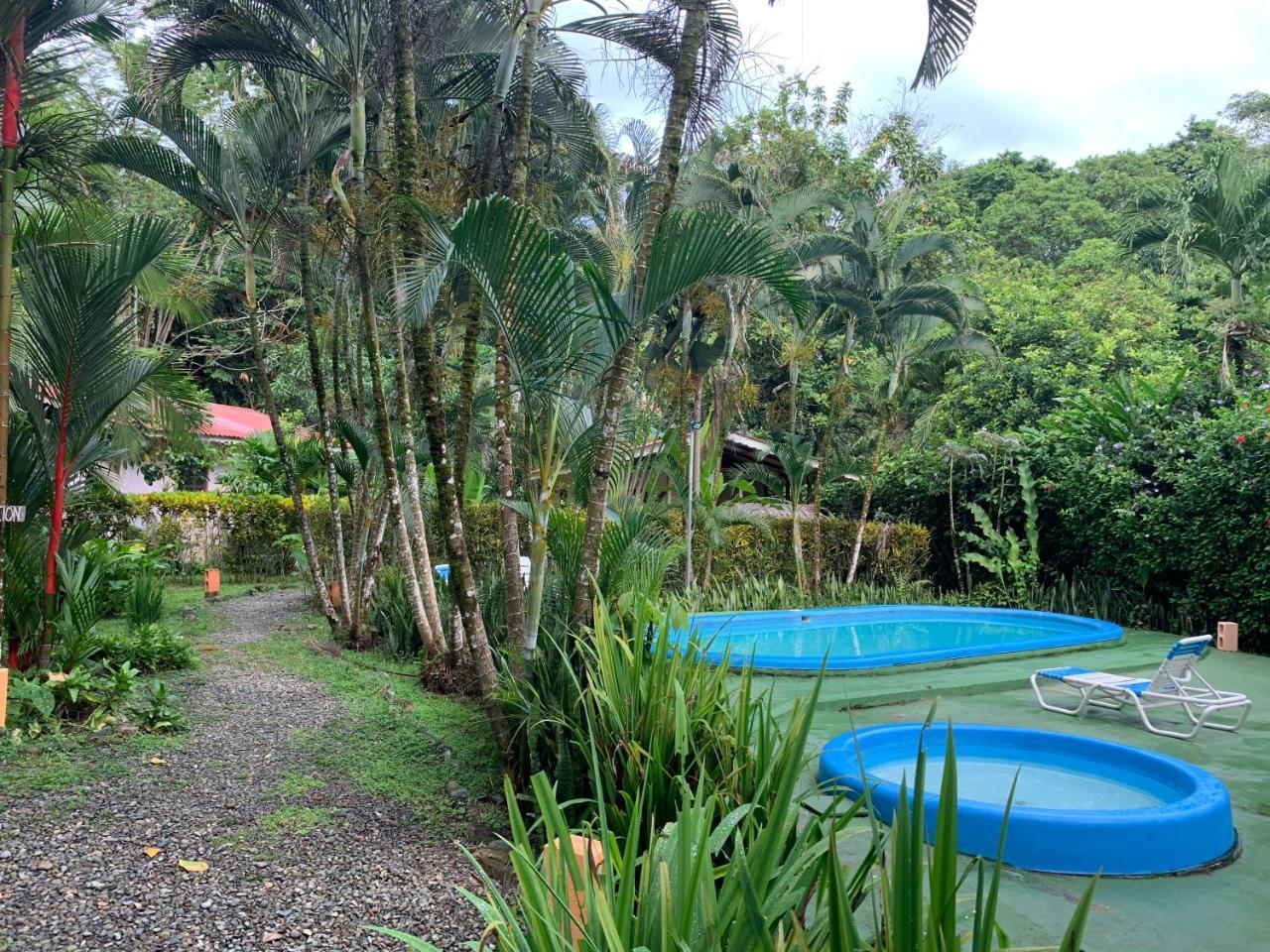 Luna Caribena Village Puerto Viejo de Talamanca Exterior foto
