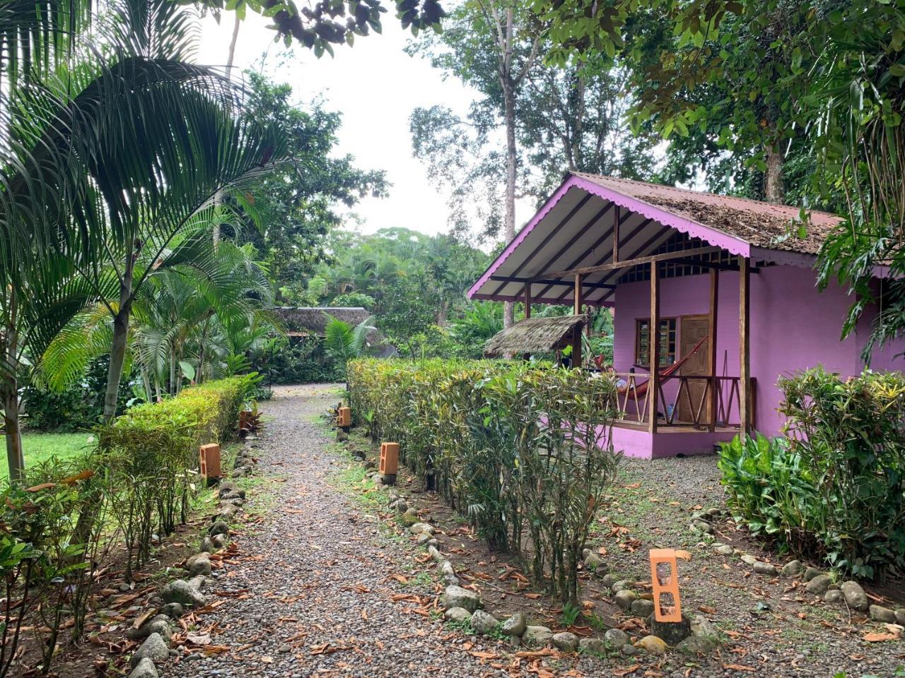 Luna Caribena Village Puerto Viejo de Talamanca Exterior foto