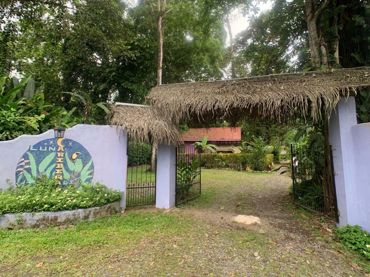 Luna Caribena Village Puerto Viejo de Talamanca Exterior foto