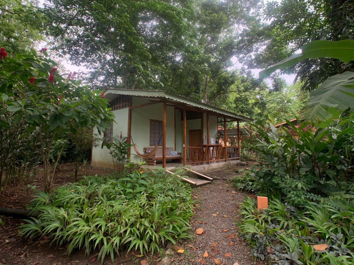 Luna Caribena Village Puerto Viejo de Talamanca Exterior foto