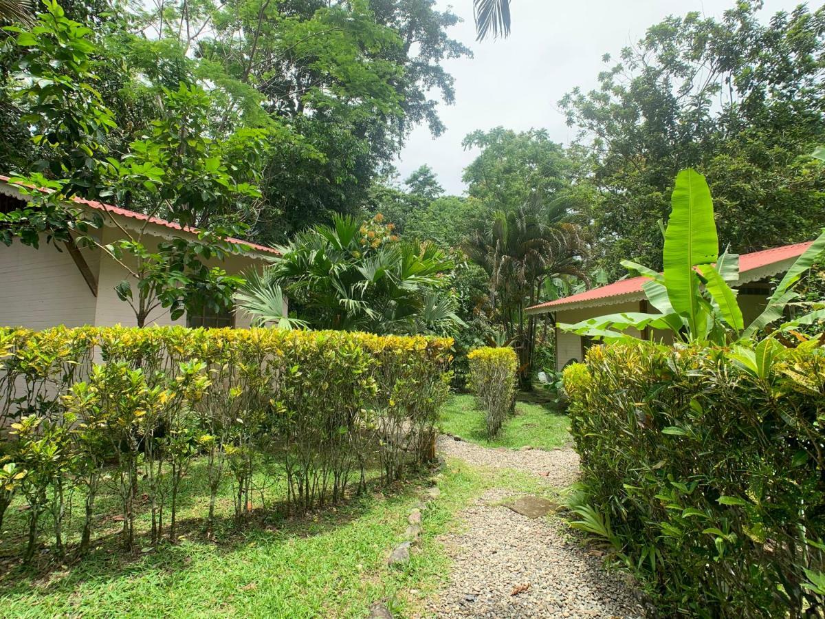 Luna Caribena Village Puerto Viejo de Talamanca Exterior foto